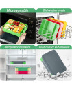 Bento Lunch Box - Green